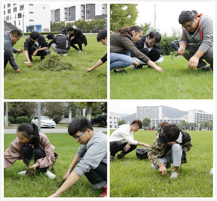 师生认真专注的为大草坪美颜